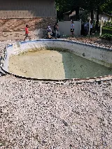 Professional Pool Serivce photo 7