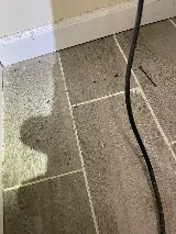 A&R Pest Patrol photo 4