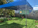 White Rock Lawn and Yard Care Ltd. photo 6