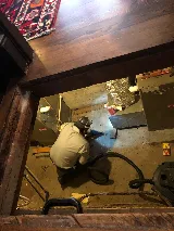 Suncoast Pest Management photo 7