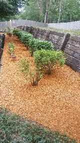 Mendoza Landscaping Construction LLC photo 5