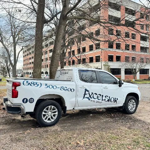 Excelsior Pest Group in Rochester