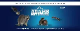 Adams Pest Control Halifax photo 5