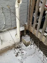 All Corners Pest Control photo 2