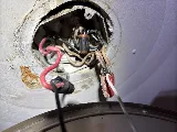ElecTriLight Ltd photo 7