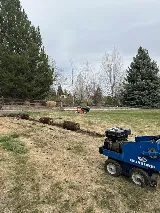 T&T Lawn and Landscaping photo 6