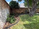 Coffee Landscape and Design LLC photo 2