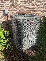 Environment Masters photo 5