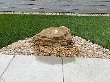 Four Seasons Landscape Management photo 6