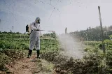 Portland Shield Pest Control photo 6