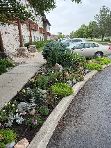 Greenleaf Landscape Management photo 2