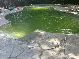 Christine's Pool Service photo 3