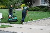 Harvest Lawn Care photo 6