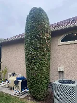 Azteca Lawn & Care / Landscaping Services photo 3