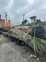 SouthWest Environments Landscape Services photo 6