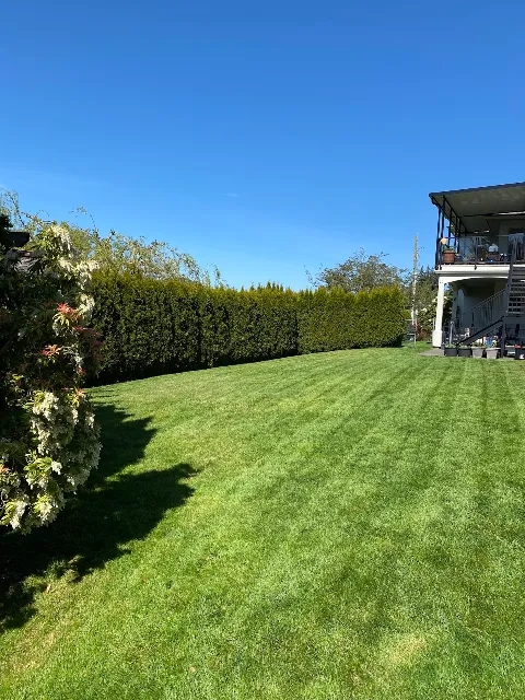 Wild Ridge Landscaping photo 1
