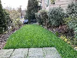 Seattle Sustainable Landscapes photo 7