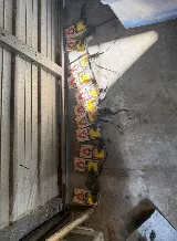 Nuisance RMVL LLC Pest Control photo 5