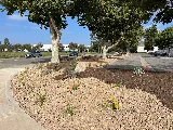 Pacific Landscape Services photo 3
