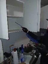 Bridge Pro Pest Control photo 5