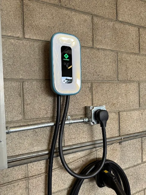 The electric plug photo 1