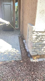 T2 Pest Services photo 4