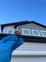 Bulwark Exterminating photo 4
