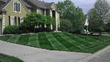 BellaVista Landscaping