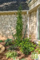 Heartland Landscape Group photo 8