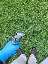 Bulwark Exterminating photo 4