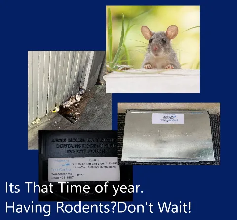 Phantom Pest Control photo 1