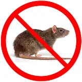 Beeman Pest Solutions photo 7