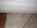 Orkin Canada Pest Control photo 6
