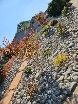Suncrest Landscape Inc. photo 5