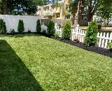 Ryan's Green Thumb Landscaping photo 7