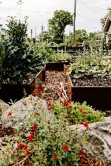 Crown Town Landscapes photo 8