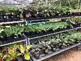 Horticare Landscape Companies photo 4