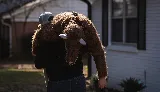 The Pest Detective Termite and Pest Control photo 4