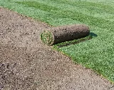 J & C Sod Farm Ltd