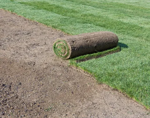 J & C Sod Farm Ltd in St. John's