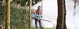 AR Pest Control Milton photo 5