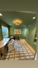 Eco Lux Painter Surrey