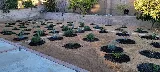 A&M landscaping photo 7