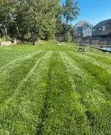 Corner To Corner Landscaping photo 6