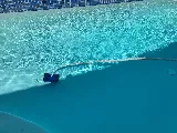 Kahala Pools Maintenance and Repair photo 3