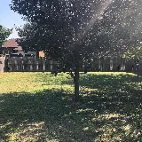 Bradford's Landscaping LLC photo 6