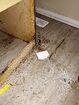 All Corners Pest Control photo 5