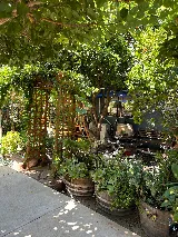 Terminix photo 7