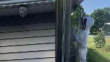 Rochester Pest Pro photo 4