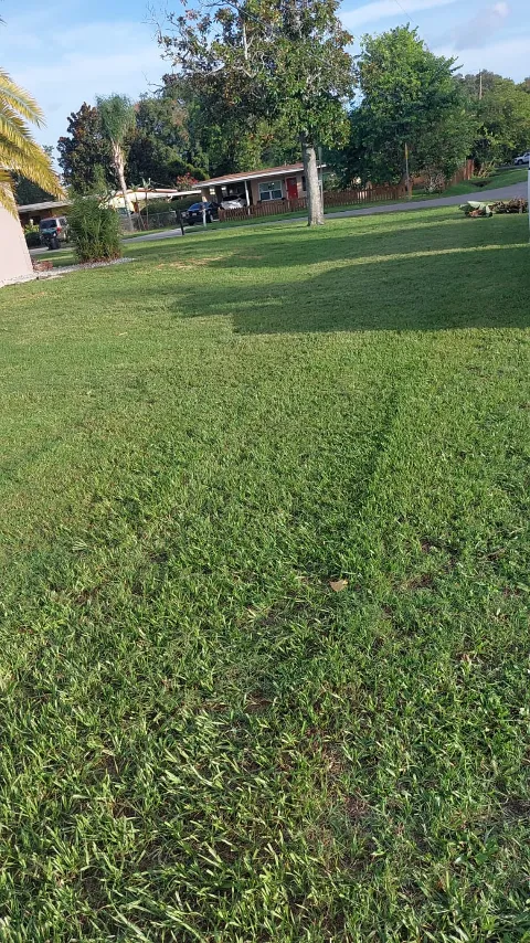 Jose & Jose Landscaping LLC in Orlando